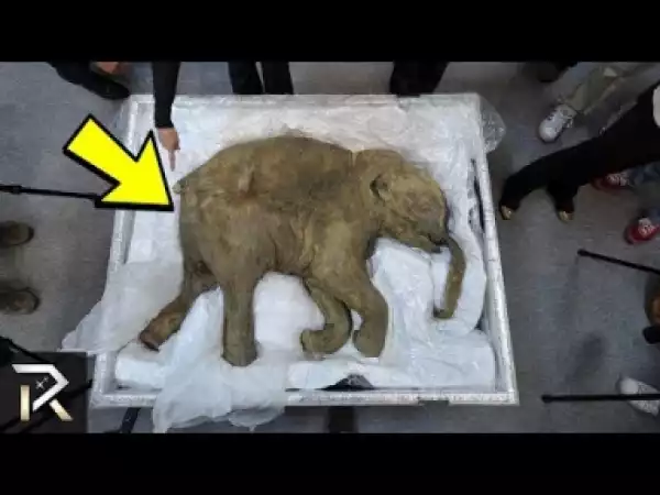 Video: Extinct Creatures That Might Still Be Alive